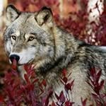 John Rousseau - @johnrousseau2711 - Instagram