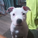 Johnny Rowan - @johnnyrowan10 - Instagram