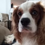 Johnny Rowland - @johnnyrowland62 - Instagram
