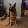 John Sandlin - @john.sandlin - TikTok