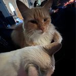 John Sansom - @bigjohn305xl - Instagram