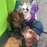 John Seay - @seaydingo - Instagram
