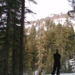 Johnny Seay - @seayreal - Instagram