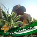 Johnie Seitz - Facebook