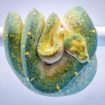 John Slone - @jmslone - Instagram