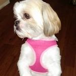 Johnny Katie Slone - @johnnykatieslone - Instagram