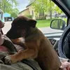 Johnny Snell - @johnny.snell2 - TikTok