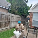 Johnny Spells - @johnnyspells766 - Instagram