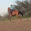 Josalyn spikes - @johnnyspikes25 - TikTok