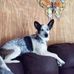 John Sprouse - Facebook