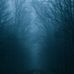 Johnny Steiner - Facebook