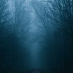 Johnny Steiner - @john.steiner.165 - Instagram