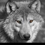 johnny stockman - @stockman447 - Instagram