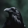 johnnystockman387 - @johnnystockman387 - TikTok