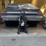 John Stringer - @john.stringer.752861 - Instagram