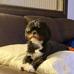 Johnny Stuckey - Facebook