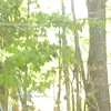 johnnysuggs132 - @johnnysuggs132 - TikTok