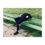 Johnny Sun - @sunjohnnyy - Instagram