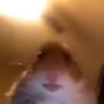 Johnny sword - @sword.johnny - Instagram