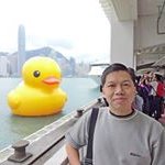 Johnny Tam - @johnnytamlrc - Instagram