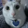 Jonny - @jonnytier - TikTok