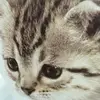 johnnyuy966 - @johnnyuy966 - TikTok