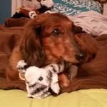 John Voss - @johnvoss610 - Instagram