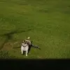 johnnyvoss2 - @johnny.voss6 - TikTok