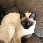 Johnny Carpenter - @johnny__wheat - Instagram