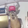 Johnny Wheat - @johnny.wheat6 - TikTok