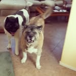 John Whitten - @john.whitten.581 - Instagram