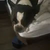 John Widner - @john.widner - TikTok