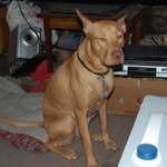 Johnny Widner - @widnerjohnny - Instagram