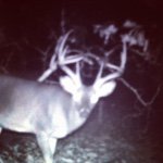 John Willingham - @j_willingham_12 - Instagram