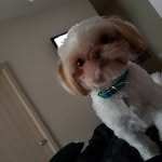 Johnny Winston - @johnny.winston.1293 - Instagram