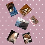 Johnny, Winston, Penelope - @johnnywinstonpenelope - Instagram