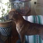 @johnnywooten - Instagram
