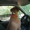 Johnny Wright81 - @johnny.wright81 - TikTok