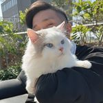 🅈🄰🄽🄶 - @johnny_yang_409 - Instagram