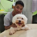 Johnny Yap Siong Chun - @johnnyyapsiongchunsiong - Instagram