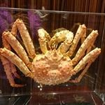 Johnny Yeung - @yeung4739 - Instagram