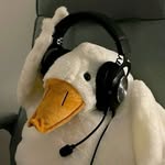Johnny Yip - @johnny.yip.50552 - Instagram