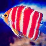 Johnny Yip - @johnny.yip - Instagram