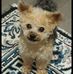 Johnny Yoon - Facebook