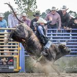 Johnson Davis - @johnsondavis_ - Instagram