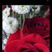 Johnson Thomas - Facebook