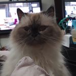 Johny & Ben & George - @johny.picasso.ben.george - Instagram