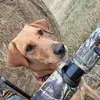 Hunter Joiner - @hunterjoiner40 - TikTok