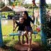 Joilane Lacerda - Facebook