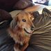 Jojo Jones - Facebook